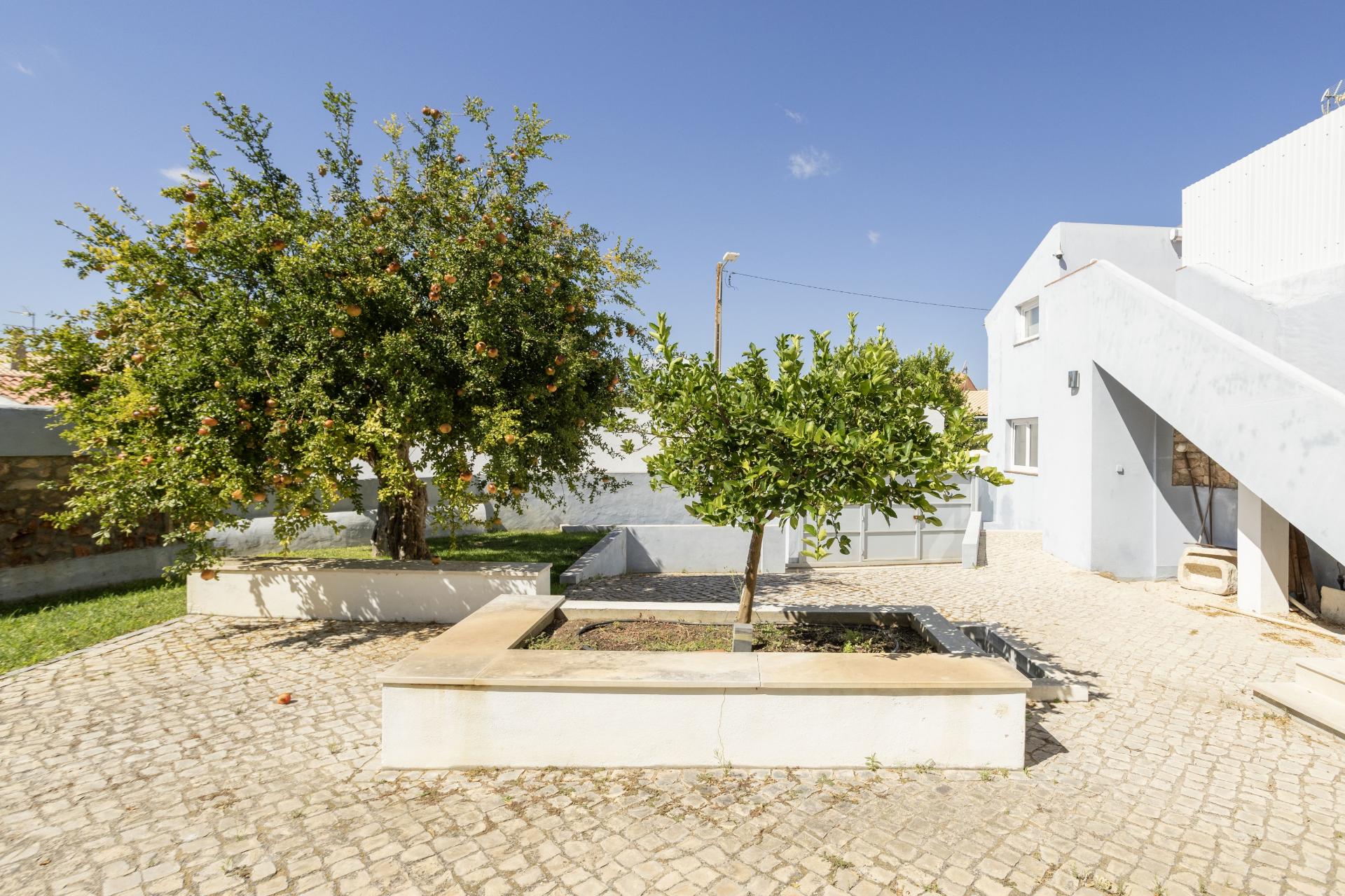 Moradia V3 com Caráter no Centro de Salir - Charme, Conforto e Qualidade