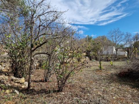 VENDIDA PELA ' TA MAISON DE RÊVE'