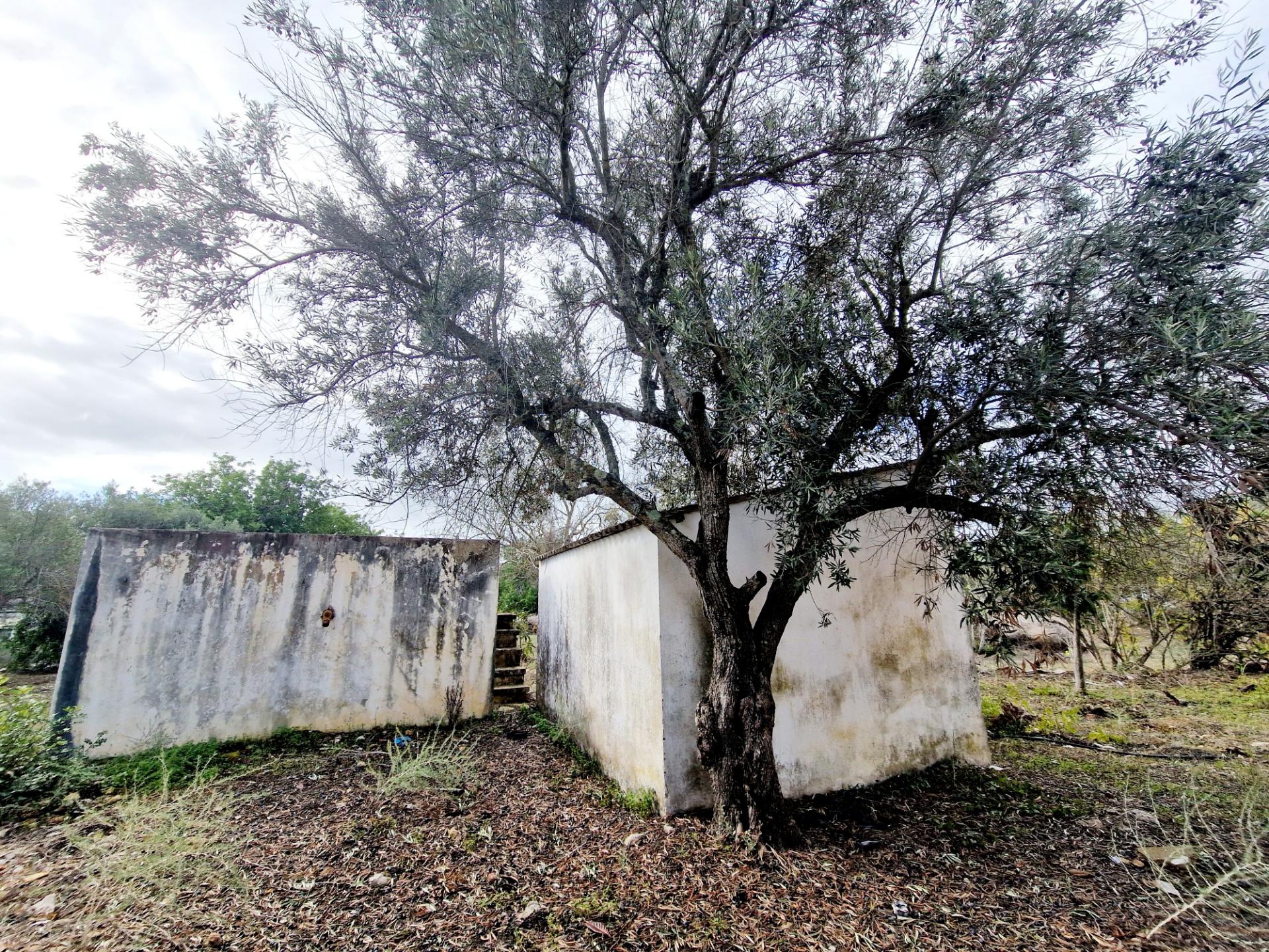 VENDIDA PELA ' TA MAISON DE RÊVE'