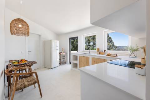 Moinho com casa, piscina e terreno com 12.200m2, em São Brás de Alportel