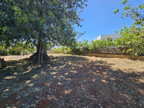EXCLUSIVIDADE!
 Excelente oportunidade de investimento em Moncarapacho, perto da Fuzeta!