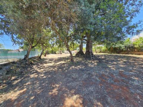 EXCLUSIVIDADE!
 Excelente oportunidade de investimento em Moncarapacho, perto da Fuzeta!