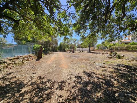 EXCLUSIVIDADE!
 Excelente oportunidade de investimento em Moncarapacho, perto da Fuzeta!