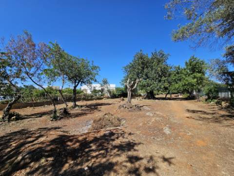 EXCLUSIVIDADE!
 Excelente oportunidade de investimento em Moncarapacho, perto da Fuzeta!