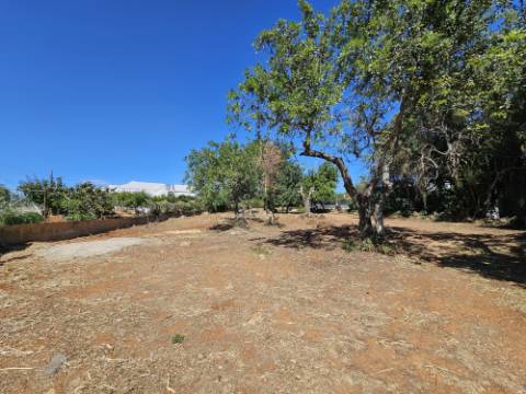 EXCLUSIVIDADE!
 Excelente oportunidade de investimento em Moncarapacho, perto da Fuzeta!