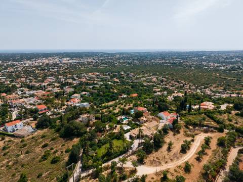 Encantadora moradia em Vale Formoso com anexo e vistas panorâmicas.