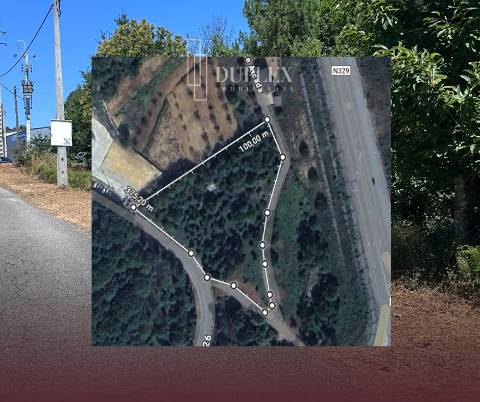 Lote Industrial  Venda em Sátão,Sátão