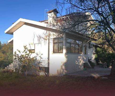 Moradia T4 Venda em Cavernães,Viseu