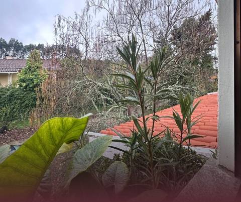 Moradia T4 Venda em Cavernães,Viseu