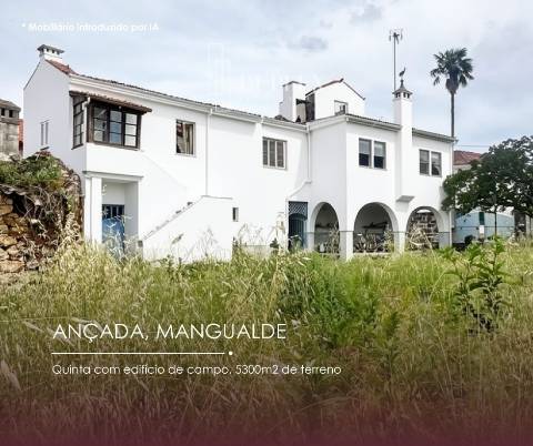 Quinta  Venda em Mangualde, Mesquitela e Cunha Alta,Mangualde