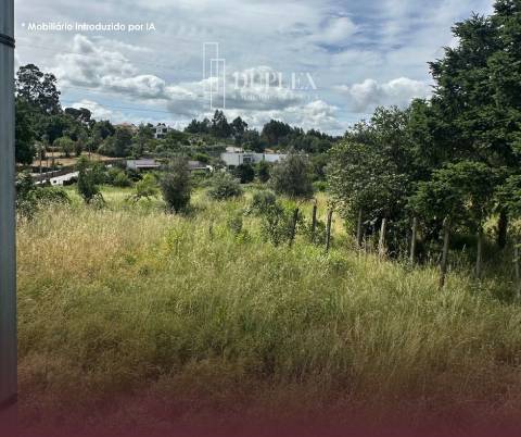 Quinta  Venda em Mangualde, Mesquitela e Cunha Alta,Mangualde