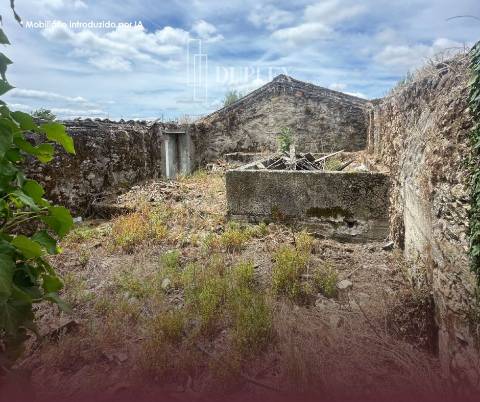 Quinta  Venda em Mangualde, Mesquitela e Cunha Alta,Mangualde