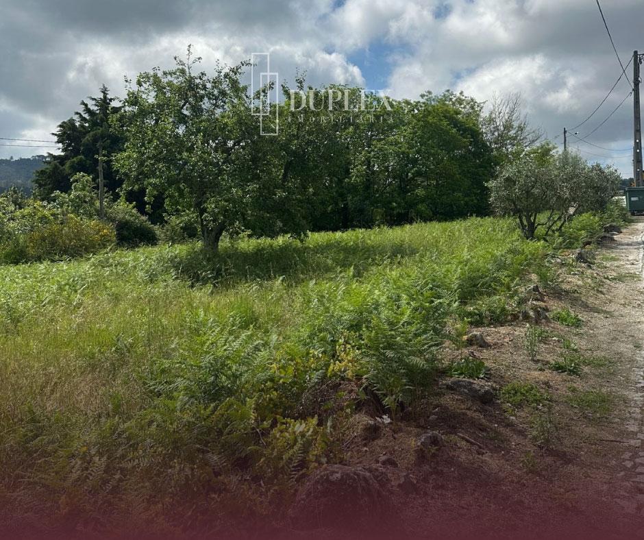 Terreno Para Construção  Venda em Mangualde, Mesquitela e Cunha Alta,Mangualde