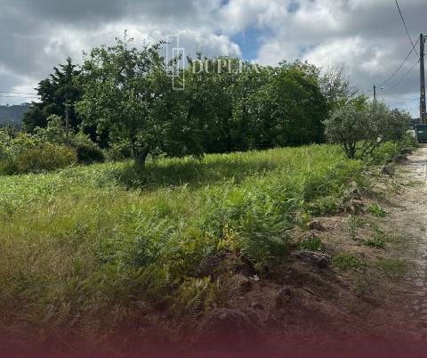 Terreno Para Construção  Venda em Mangualde, Mesquitela e Cunha Alta,Mangualde