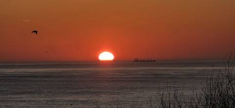 Penthouse T2 Exclusiva na Foz: Terraço Jardim de 400m2 e Vista Mar  Apartamento Recuado na Rua Marechal Saldanha