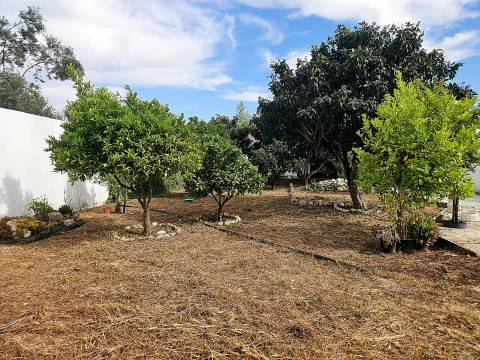 CARTAXO | MORADIA ISOLADA | T2 | SÓTÃO l LAVANDARIA | CHURRAQUEIRA | ANEXO | TERRENO | ESPAÇO PARA CRESCER